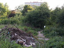 Появился государственный сайт для жалоб на свалки, вырубку лесов и загрязнения