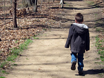 За неделю девять детей пострадали от укусов клещей