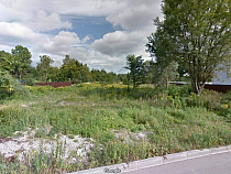 Фирме Сергея Мячина разрешили вырубить 37 деревьев 