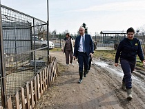 Министр проведал частный приют для кошек и собак в Гурьевском районе