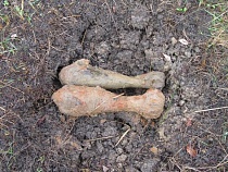 В Калининграде у школы нашли миномётные мины 