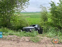 Женщина спасла лису съездом в кювет в Багратионовском районе