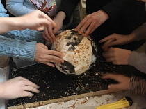 Мяч из янтаря сделали в Калининградской области к ЧМ-2018