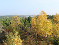 Фильм о Куршской косе покажут сразу по двум телеканалам