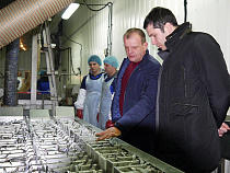  Морской комплекс в Светлом сможет выпускать до 70 тонн мороженой рыбы в сутки