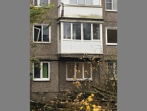 Упавшее в шторм дерево заблокировало людей в Калининграде