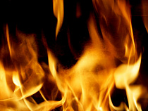 Житель Советска обиделся на коллегу, сжёг его машину и махнул заграницу