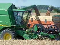 Власти: Гурьевск лидирует по сбору овощей и картофеля