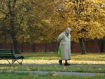 Региону выделят более 14,6 миллионов рублей на развитие доступной среды для инвалидов