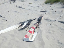 В Балтийске вандалы сожгли и разломали 10 информационных знаков на пляже