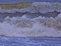 МЧС: в выходные регион накроют грозы и шквалистый ветер