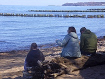 Эти 9 растений из Калининграда сотворяют чудеса со здоровьем бесплатно