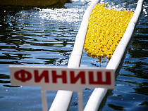 Tele2 поддержала благотворительный заплыв резиновых утят