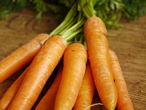 В калининградских овощах и фруктах искали нитраты и ГМО 