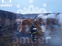 В Черняховском районе сгорели десятки коров на частной ферме