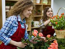 На 8 марта матёрый мужик обчистил молодую цветочницу