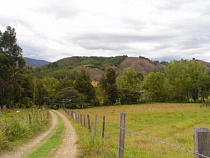  Калининградка заплатит 6 тысяч рублей штрафа за нарушение земельного законодательства