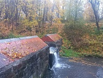 В Калининграде учёные полгода будут искать жуков и траву на Литовском валу