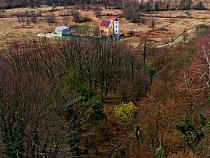 Леса в Прибрежном и Чкаловске включили в охранную зону
