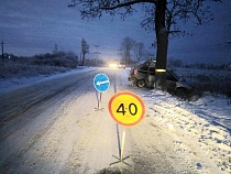 У кладбища Цветково «Додж» врезался в дерево, ранен ребёнок