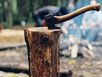 В минприроды объяснили, почему в Калининградской области «дров нет» 