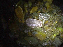 Полиция изъяла у нелегальных старателей янтарь на сумму 186 тысяч рублей