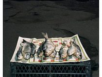 «Момент смерти»: немецкий фотограф выставила калининградских бабушек в лучшем свете