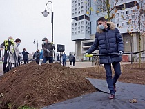 Алиханов рассказал, за чей счёт купили платаны для высадки у Дома Советов 