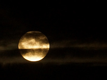 Житель Немана втёрся в доверие к женщине и украл у неё 65 тысяч рублей