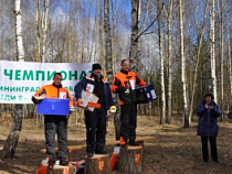 В Полесском районе состоялся чемпионат вальщиков леса «Лесоруб-2015», организованный региональным Лесным агентством