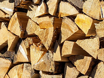 Должник, спрятавшийся от пристава под дровами, не избежал наказания