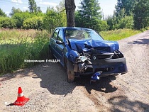 Водитель врезался в дерево для спасения жизни косули