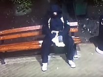 Появилось видео перепильщика скамеек в Калининграде