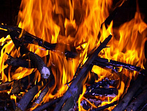 В поселке под Зеленоградском выгорела половина жилого дома