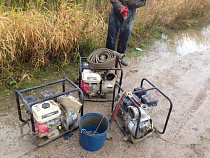 Под Зеленоградском задержали очередную бригаду «черных копателей»