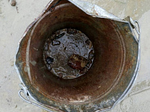 Под Зеленоградском «черные копатели» успели вымыть 66 граммов янтаря