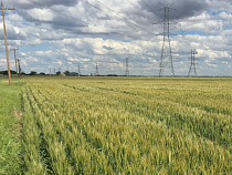 Суд: неявка на проверку собственника земельного участка – административное правонарушение