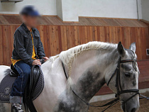 В Калининградской области вор ускакал на коне, не заплатив за него