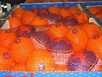 В Калининградской области раздавили более 30 тонн овощей и фруктов