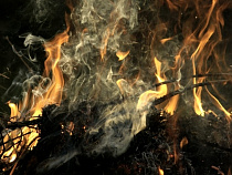 В СНТ под Гурьевском сгорела дача