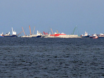 «Газпром» не стал искать подрядчика на выпуск 24 тысяч лососевых рыб в Балтийское море