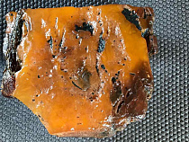 В Калининградской области найден янтарь-переросток 