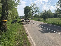 Под Гусевом «Фольксваген Пассат» свалил придорожное дерево