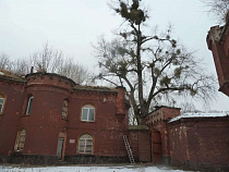 Алиханов заявил о попытке Нюдюрбегова продать Астрономический бастион за 4 млн евро