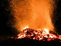 В корневой части Куршской косы произошло возгорание