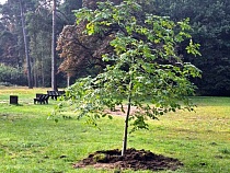 В Калининграде тайно создали источник бесплатной еды