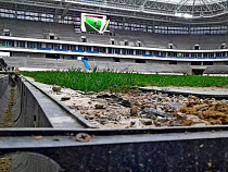 Проверяющий FIFA оценил траву на стадионе в Калининграде