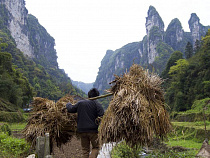 Вассальная компания, софинансируемая Coca-Cola, долгие годы игнорировала проблемы питания в Китае