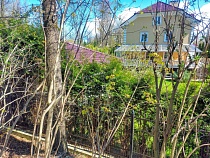 Как власти защитили миллионера, захватившего часть парка в Пионерском