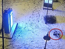 В центре Калининграда девушка 4 часа кого-то ждала и упала в снег (видео)